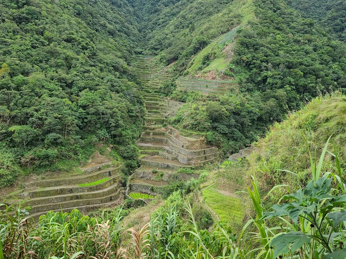 Plan Your Trip to the Stunning Banaue Rice Terraces in 2025 Banaue Rice Terraces by Larry Diaz