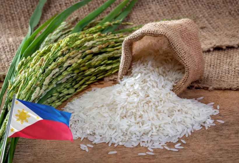 Why the Philippines Imports Rice
